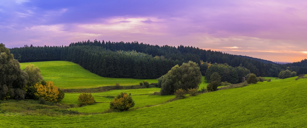 阿尔卑斯山风景 草地 山地 森林 3440x1440壁纸