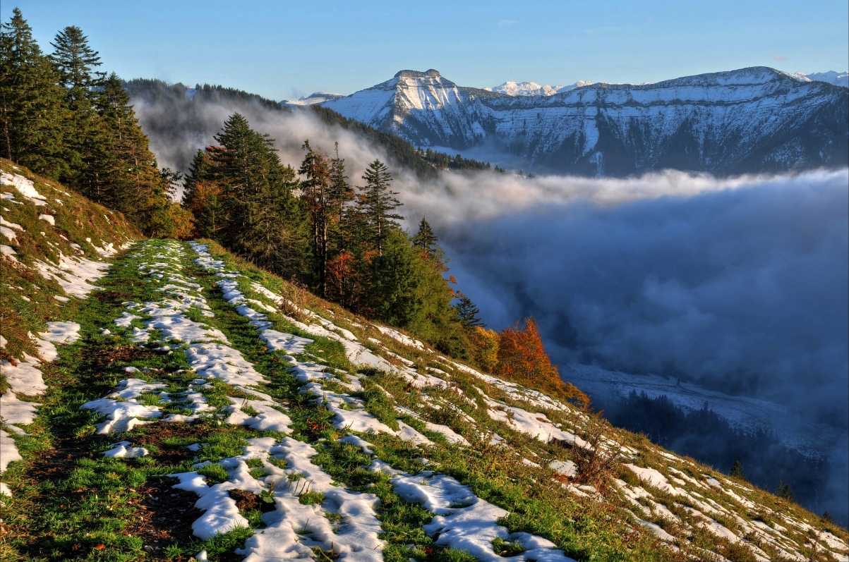 山坡 雪 树木 山 薄雾 4K风景摄影图片