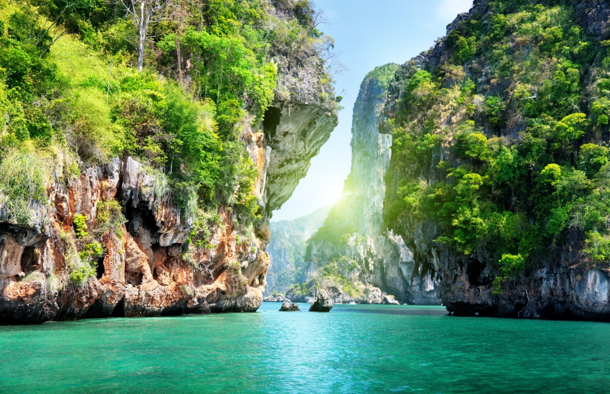 海洋 岩石 海水 树木 自然风景6k风景图片