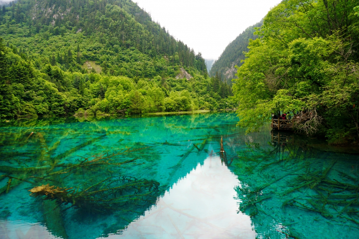 四川九寨沟湖面自然风景4K壁纸