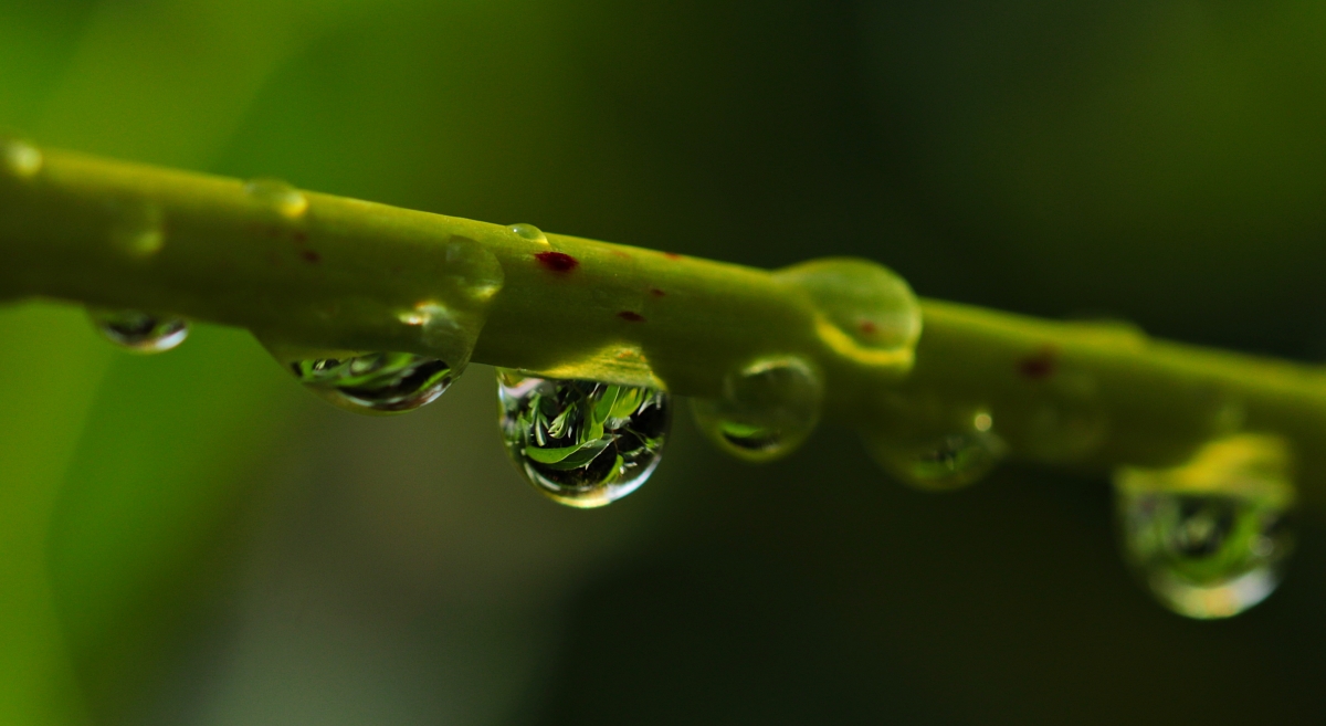 一滴水 雨滴 心情 水滴 4K壁纸