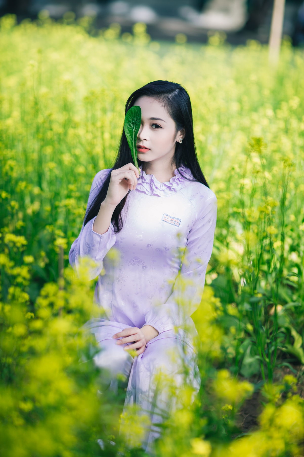 油菜花美女摄影4k图片