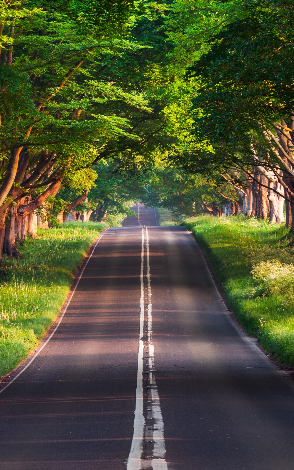 布兰福德路风景2k手机壁纸