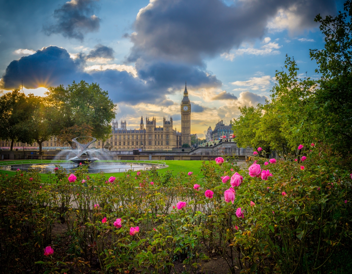 花 玫瑰公园 英格兰 伦敦的大笨钟 4k高清风景壁纸