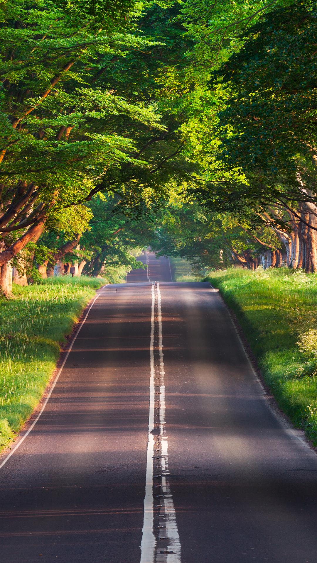 布兰福德路风景高清手机壁纸1080x1920