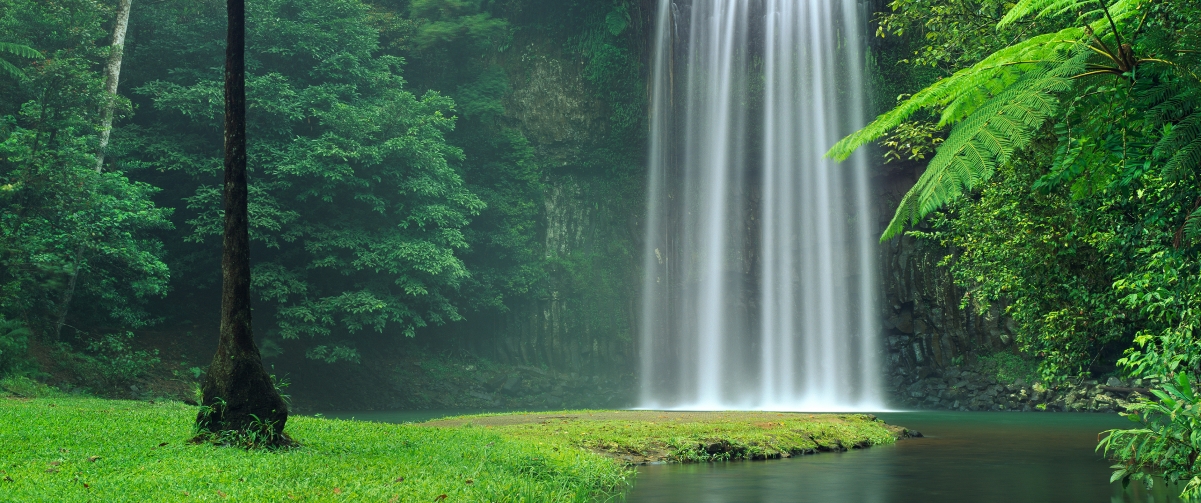 【3440x1440】米拉米拉瀑布Millaa Millaa Falls带鱼屏壁纸