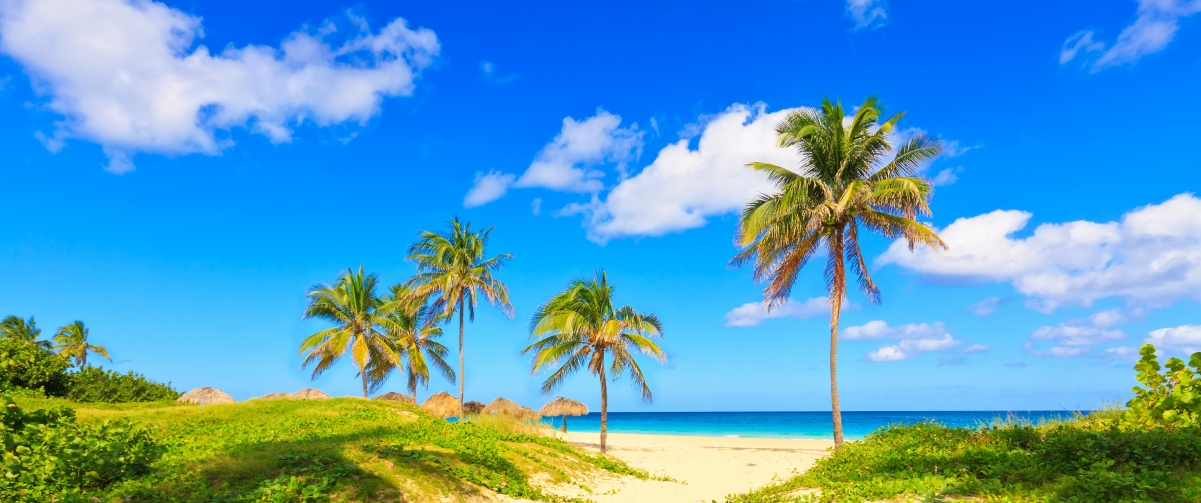 海岸,棕榈树,海滩,沙滩,夏天海边风景3440x1440壁纸