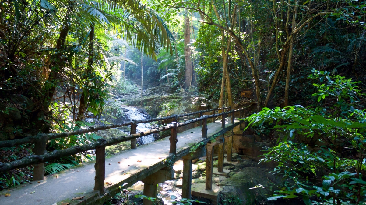 静谧小路森林风景 小溪 win10主题风景4k壁纸3840x2160