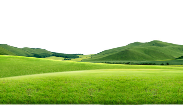 草地 草原素材