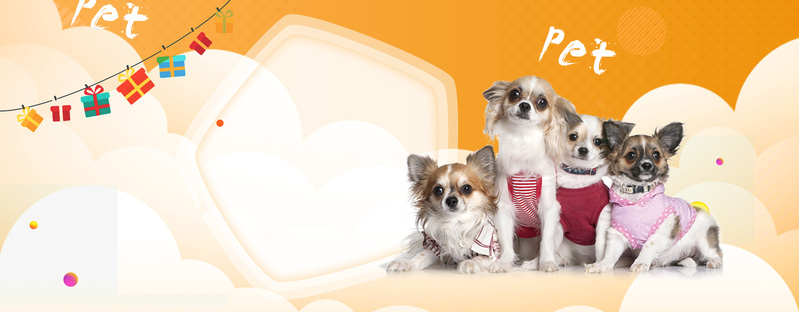 可爱橙色宠物店促销banner