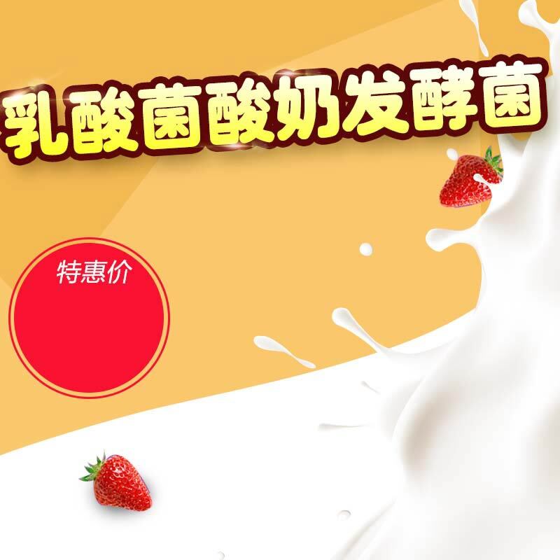 乳酸菌酸奶发酵菌促销主图