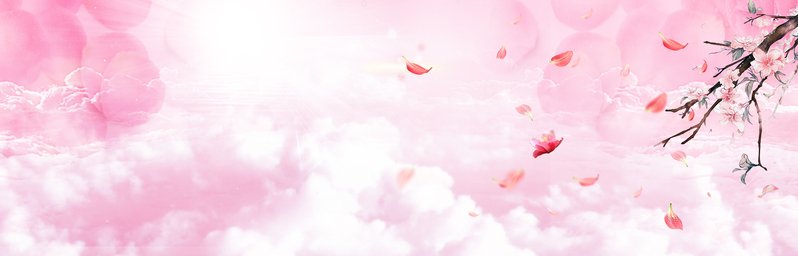 桃花节梦幻阳光文艺粉banner