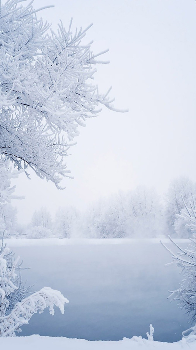 冬天洁白雪景手机端H5背景