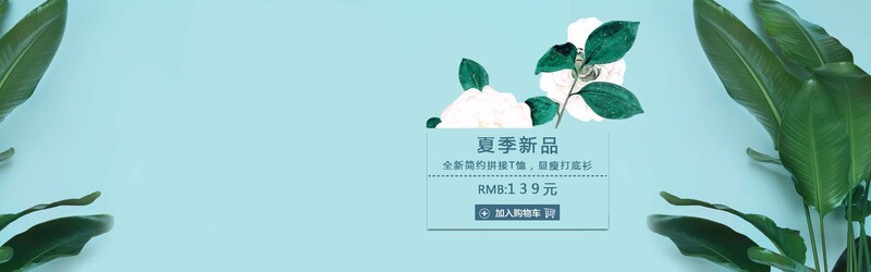 夏季新品banner