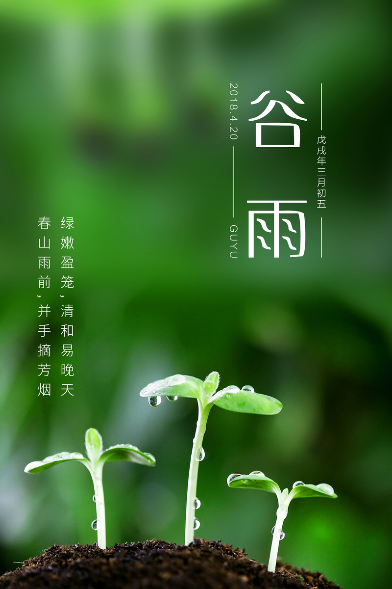 谷雨 小草 绿色 节气 海报