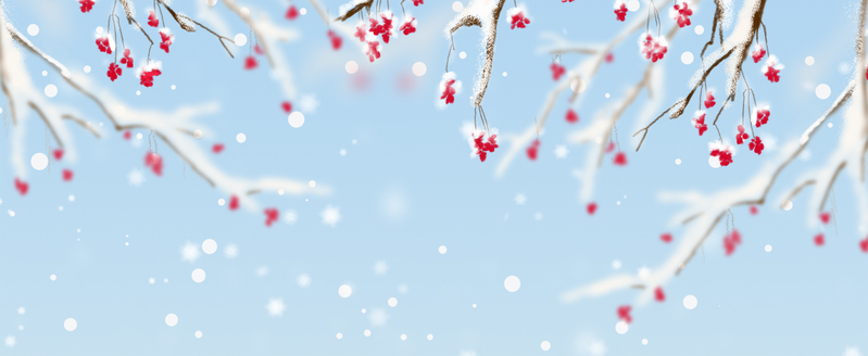 冬季腊梅文艺雪花蓝色banner