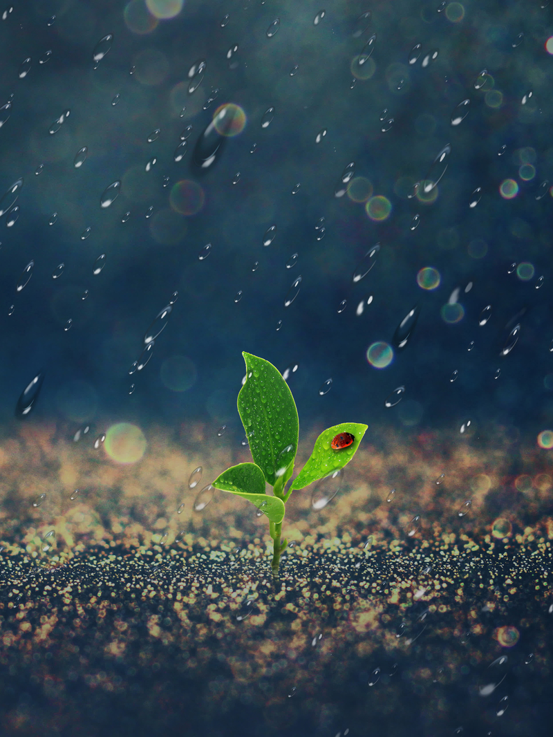 清新雨季海报背景