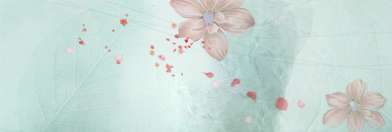 女装banner