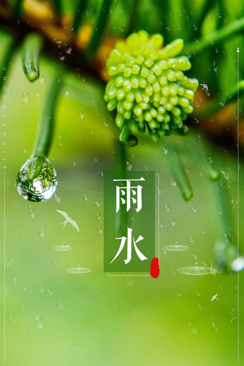 传统二十四节气雨水背景模板