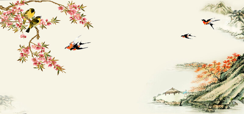中国风富贵花开彩雕背景