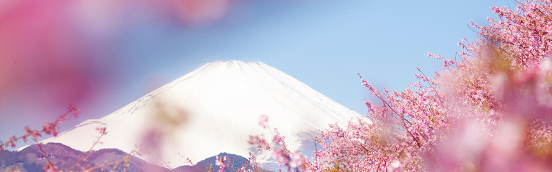 富士山背景