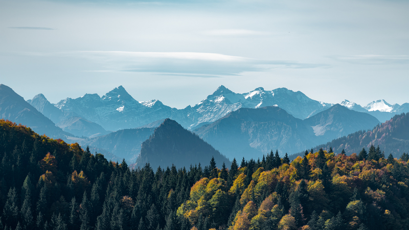 茫茫大青山，绿色天堂，森林