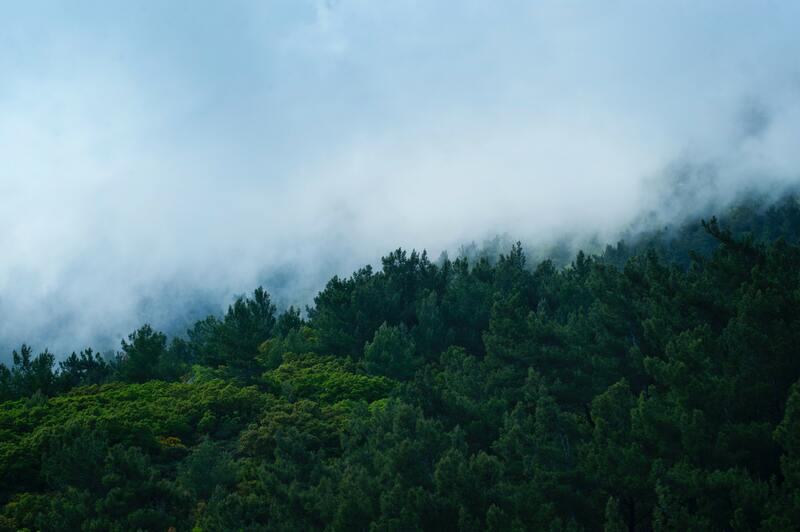 山林景色背景图