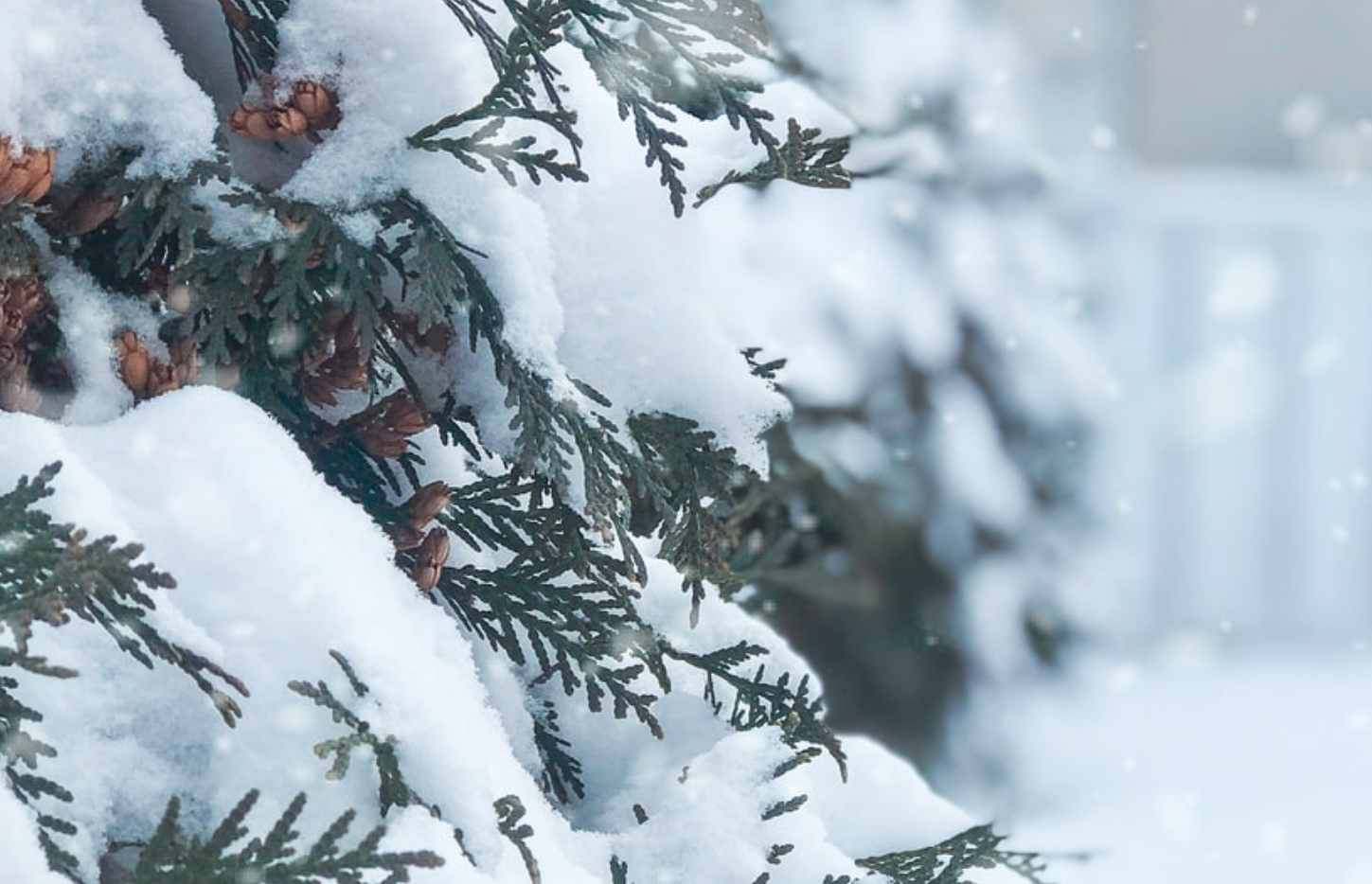 基于three.js制作的雪景网页特效