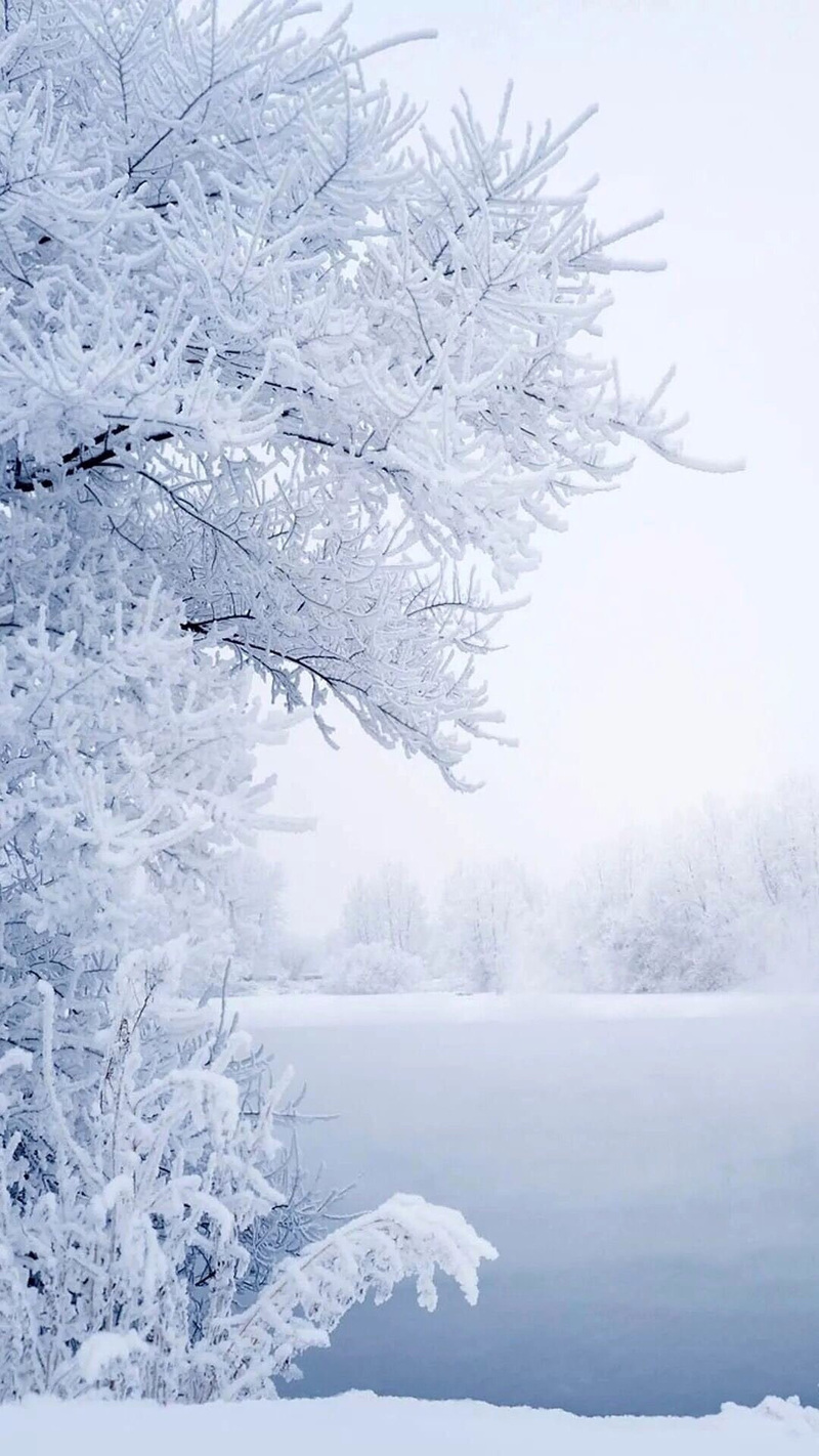 雾凇雪凇背景