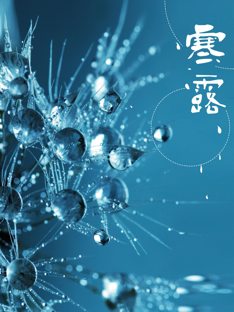 唯美露水微信配图寒露节气海报背景psd