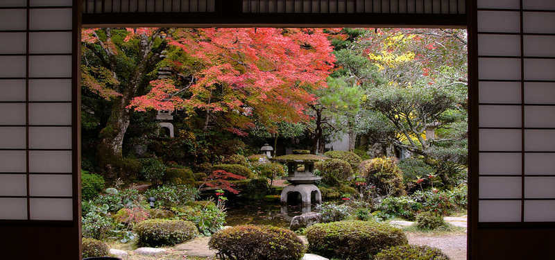 风景园林背景