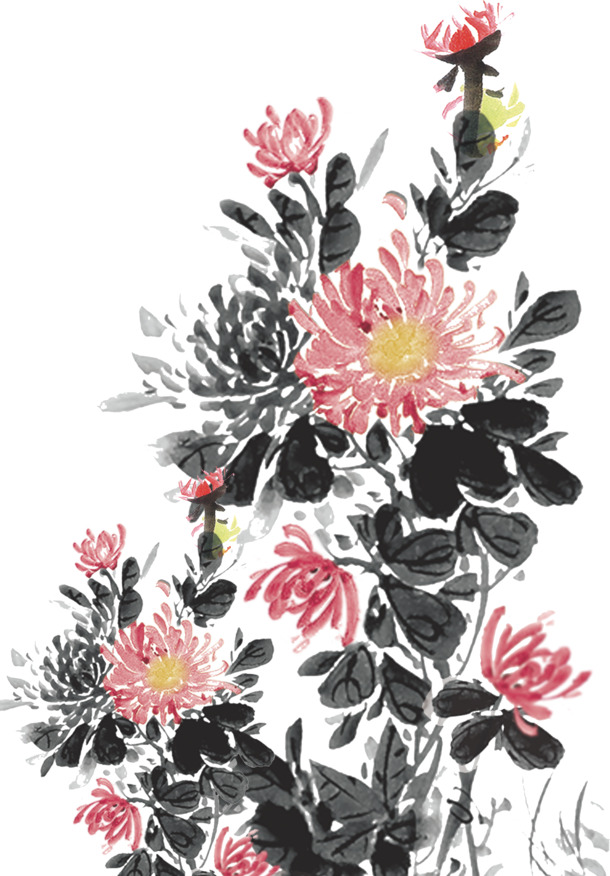 水墨画  菊花