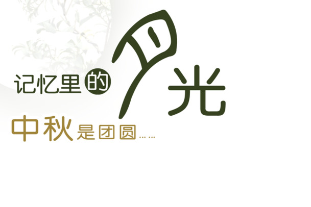 记忆里的月光