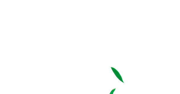 清新卡通飘浮树叶设计