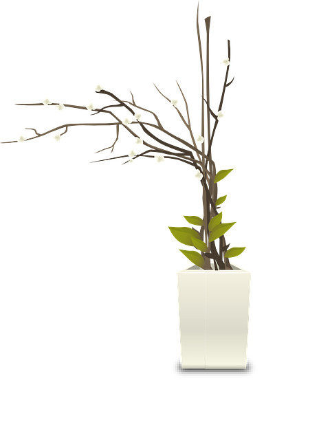 植物花盆白室内盆栽植物室内装饰