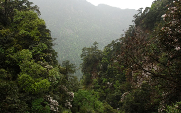 江西井冈山风景三