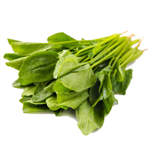 一捆菠菜