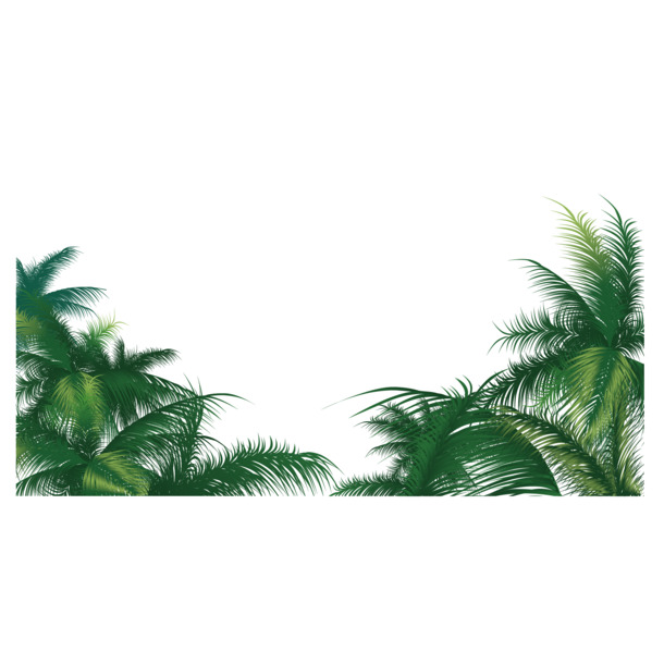 椰子树矢量素材