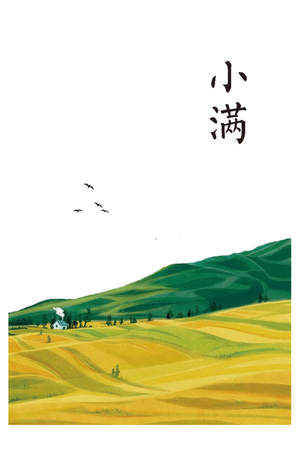二十四节气小满