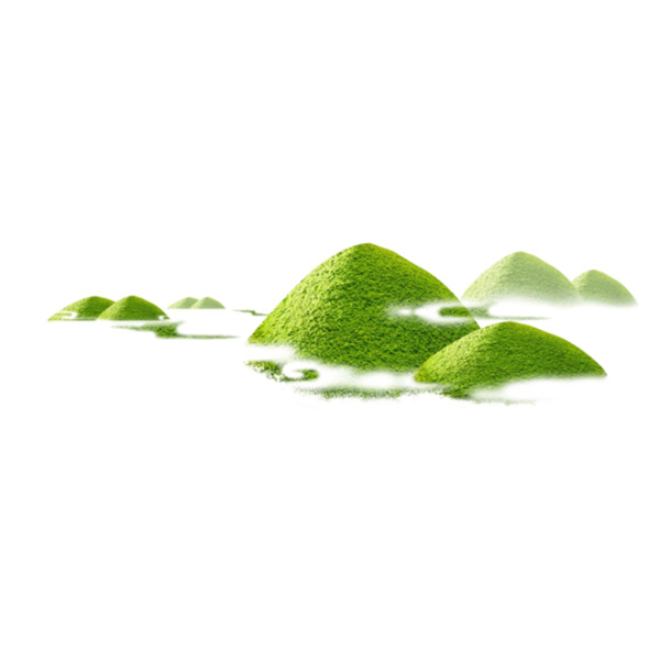 茶叶山茶叶