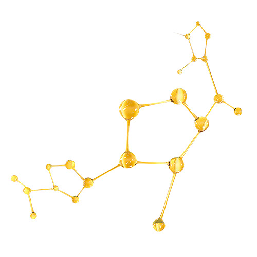 基因短链  分子 DNA 氨基酸