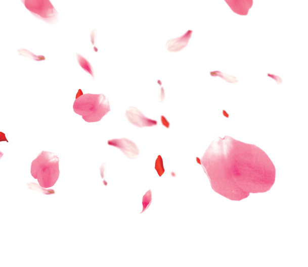 花瓣