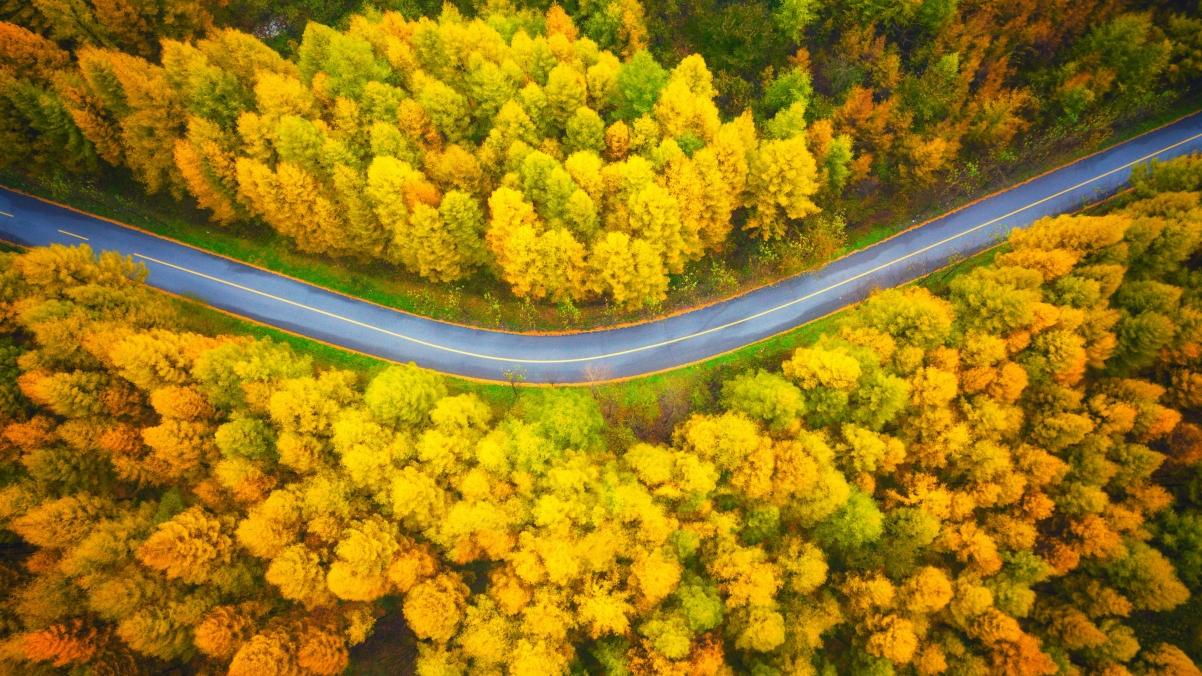 4k 高清 风景 秋天 公路 摄影 俯视 电脑壁纸 3840x2160