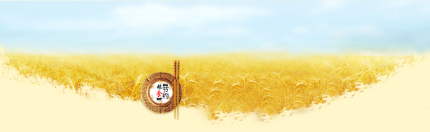 黄色小麦节约粮食背景banner