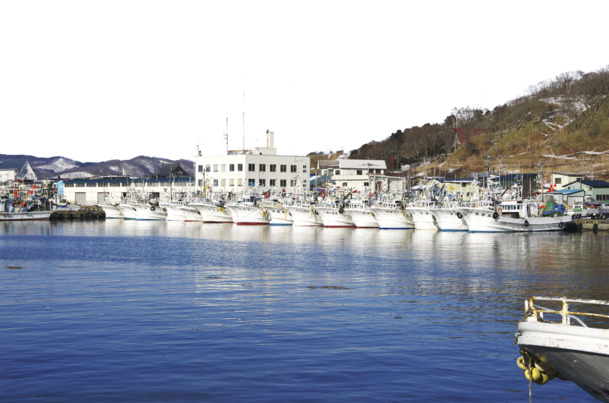 清新海湾渔港免抠