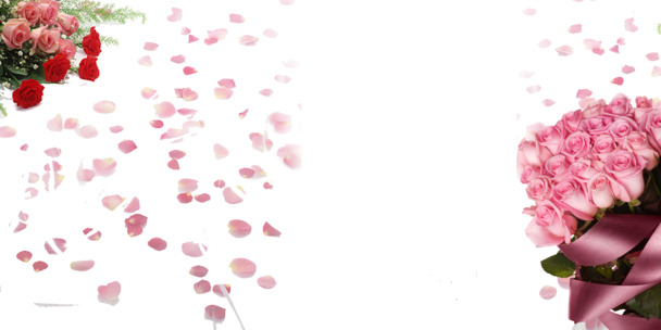 玫瑰花花瓣背景图