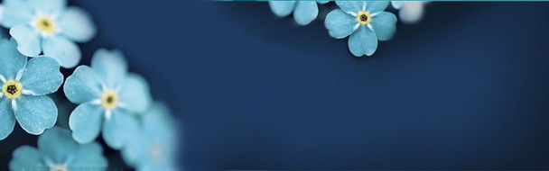 海军风背景banner