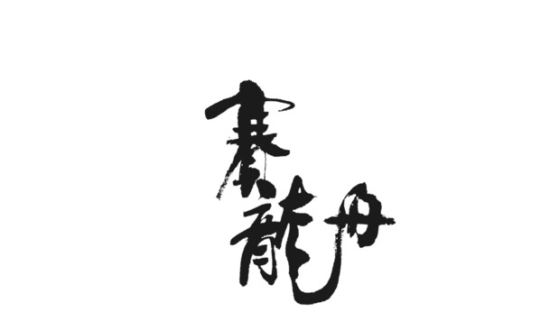 赛龙舟