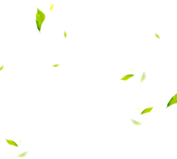 漂浮 元素 图标 标签 22