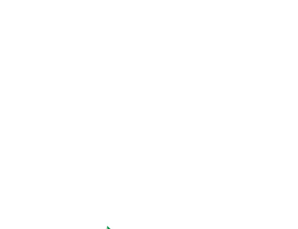 粽香立体绿色字体